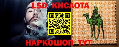 ПСИЛОЦИБИНОВЫЕ ГРИБЫ Краснознаменск