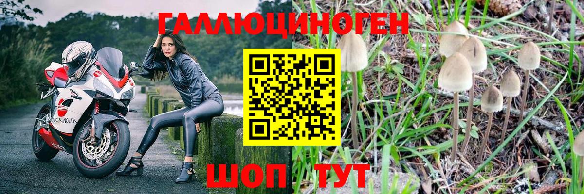 Галлюциногенные грибы Psilocybine cubensis Южноуральск