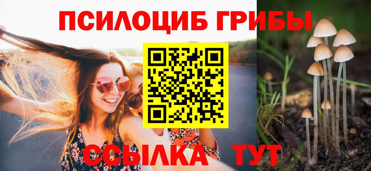 Галлюциногенные грибы Magic Shrooms  Псилоцибиновые грибы ЛСД  Вход с VPN  Южноуральск 